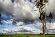 潜心耕耘，静待花开