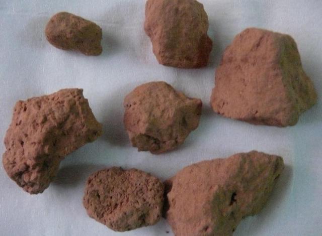 胆囊结石验方