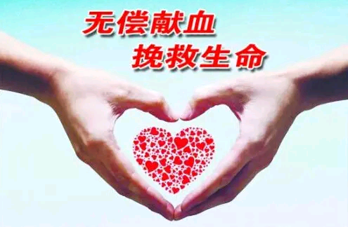 他们用生命守护生命