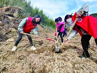 致敬了不起的她|胡亚婷: 扎根法制践初心，厉奋发正青春