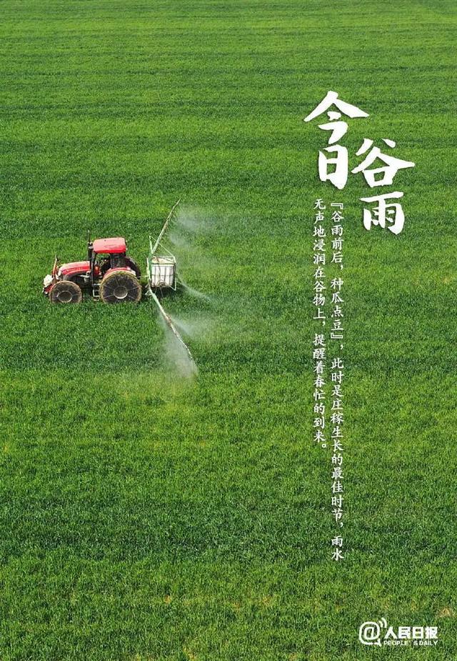 二十四节气里的中医养生之道丨谷雨：雨生百谷，万物逢时