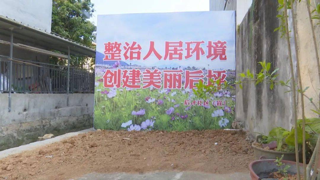桂溪街道和平社区开展“书记接待日”暨“两委班子”进小区服务群众零距离活动