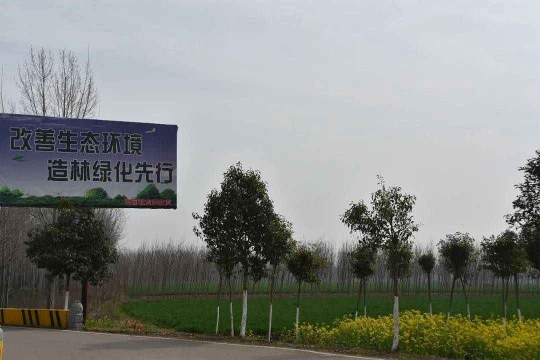 新时代乡村振兴担当作为好支书曹军：用“旅游+”撬动乡村发展，带动乡村振兴