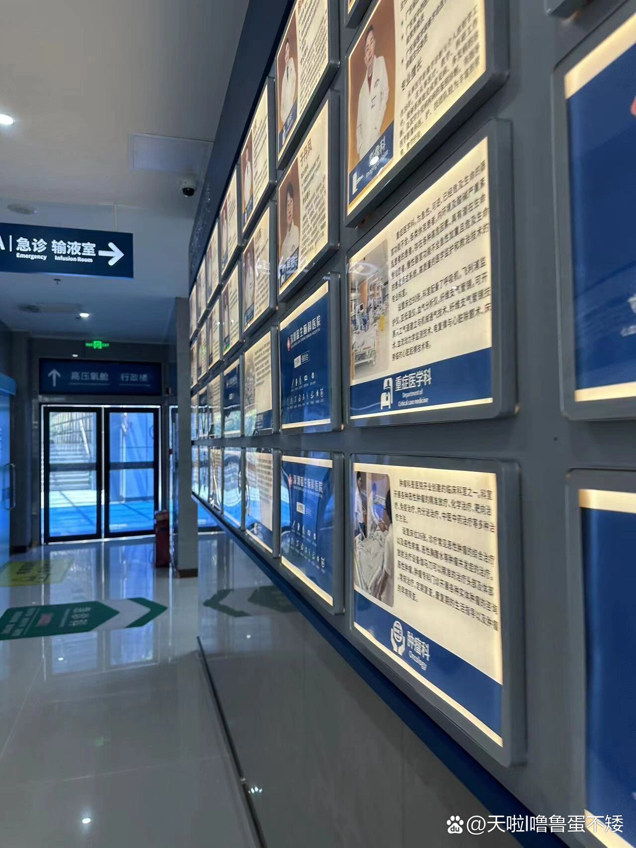 同济大学附属天佑医院刘青乐教授莅临四川蓝生脑科医院开展专题讲座