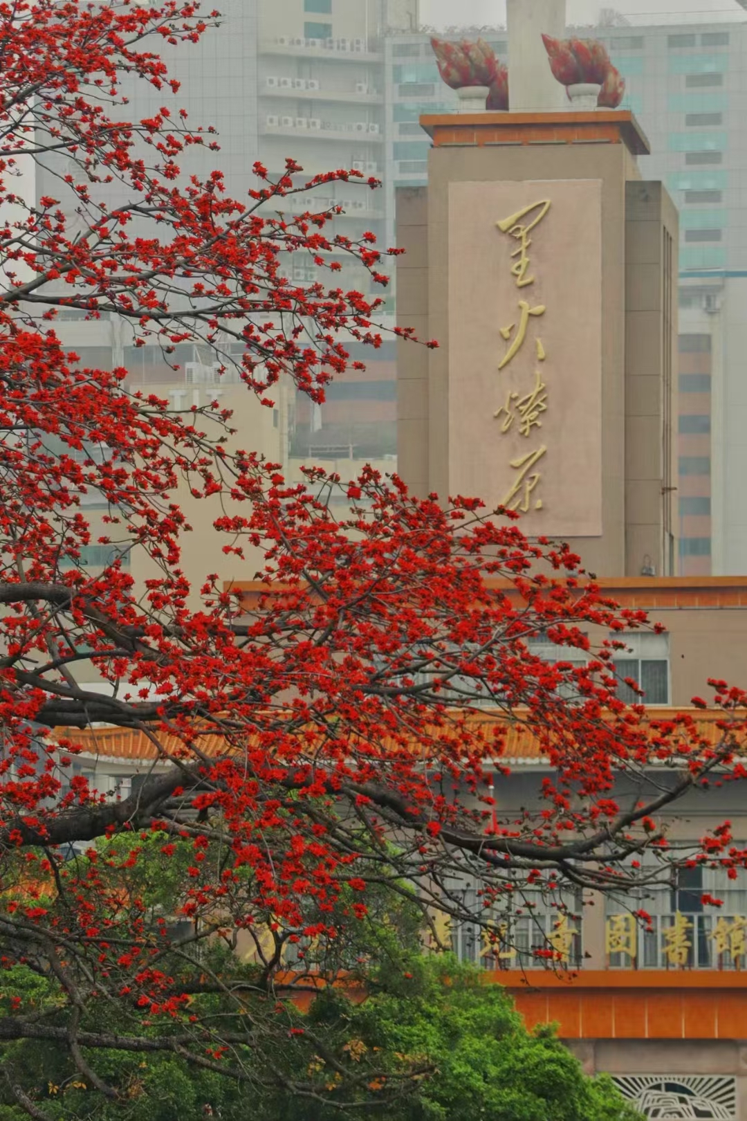 这里，总有一抹春天为您守候