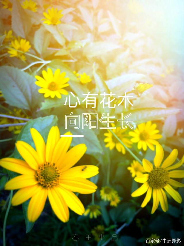 解码心灵 疗愈心身——四川蓝生脑科医院心身医学科为心身健康护航